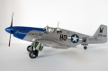 ICM 1/48 P-51B Mustang