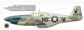 ICM 1/48 P-51B Mustang