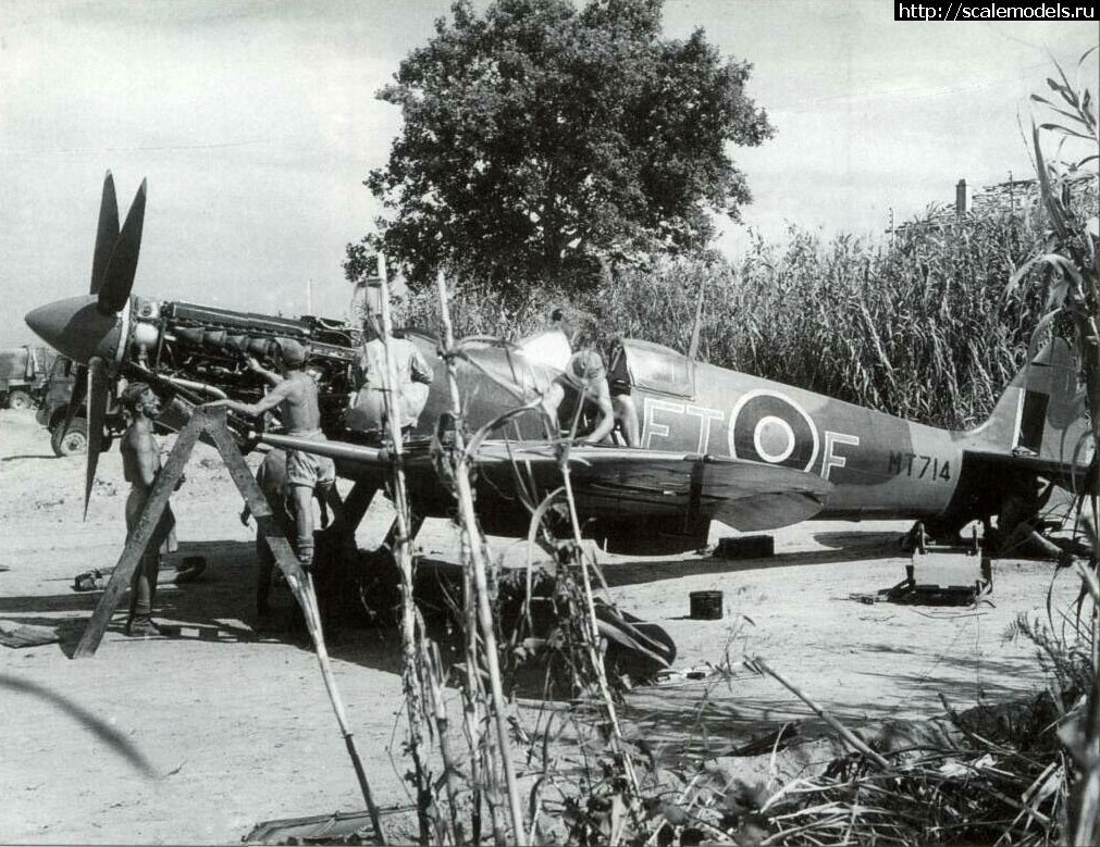 1463422347_Spitfire-LFVIII-RAF-43Sqn-FT-F-Ashley-W-Guest-MT714-Ramatulle-Aug-1944-01.jpg : #1261413/  Spitfire  