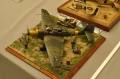    Moson Model Show MMS-2016