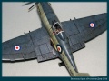 Trumpeter 1/48 Westland Wyvern