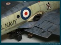 Trumpeter 1/48 Westland Wyvern