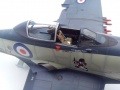 Trumpeter 1/48 Wyvern -    