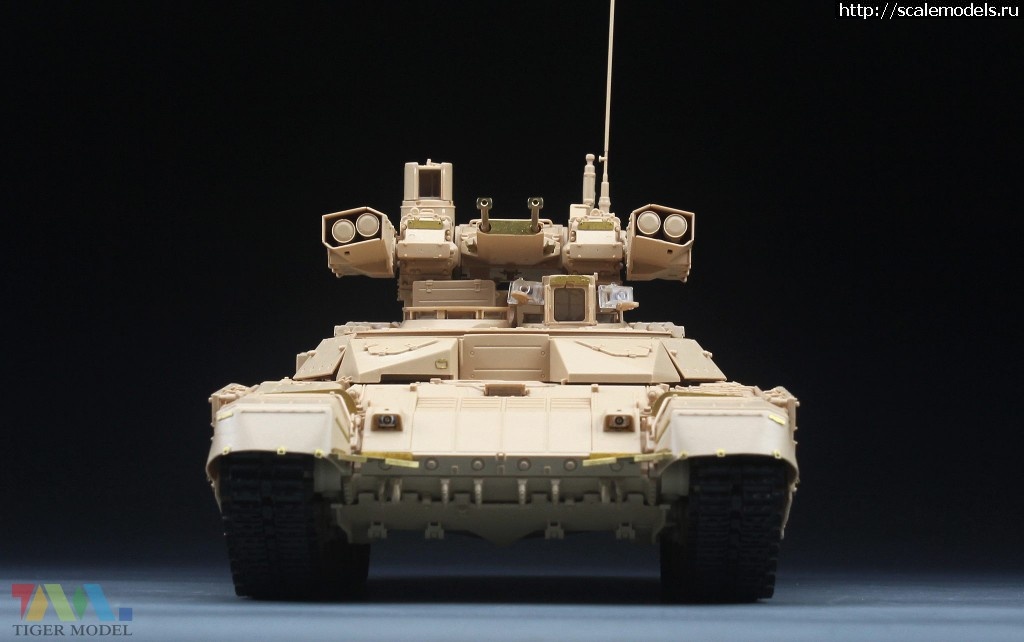 1465403681_02.jpg :    Tiger Model  