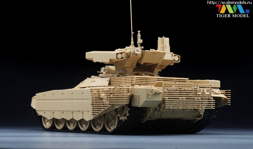 1465403684_03.jpg :    Tiger Model  