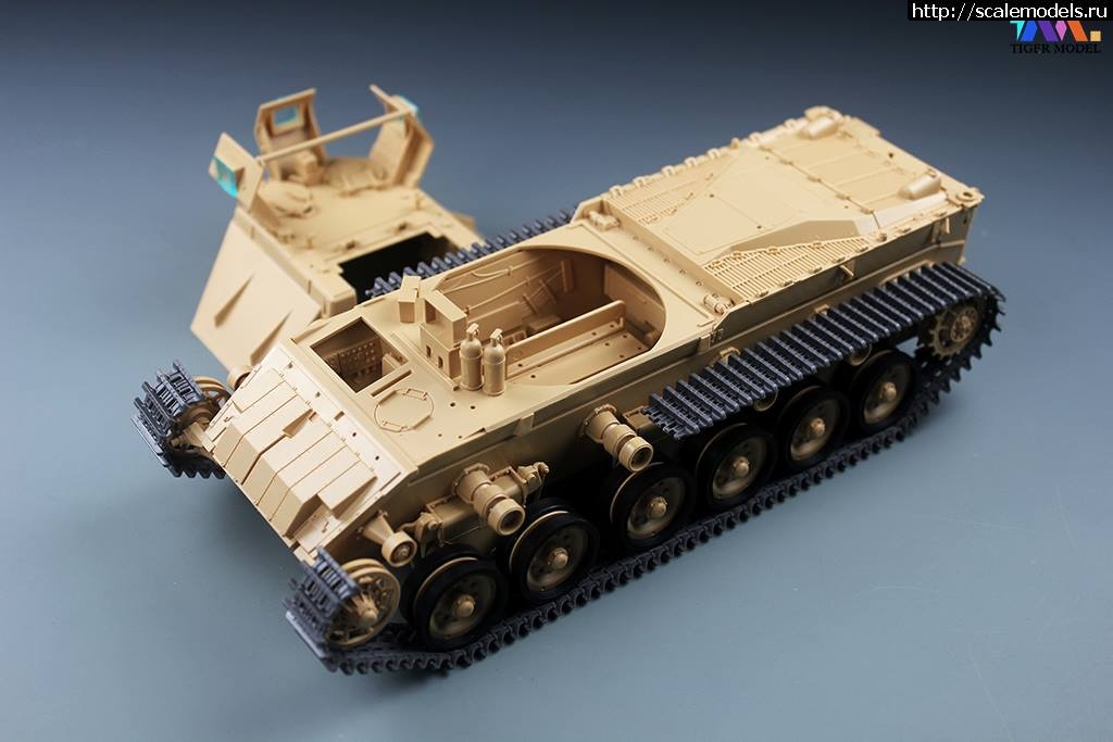 1465403739_24.jpg :    Tiger Model  