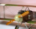 Roden 1/72 Albatros D.I