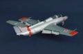 AMK 1/48 L-29 Delfin