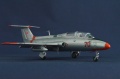 AMK 1/48 L-29 Delfin