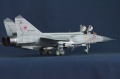 AMK 1/48 -31  38  