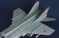 AMK 1/48 -31  38  