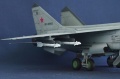 AMK 1/48 -31  38  