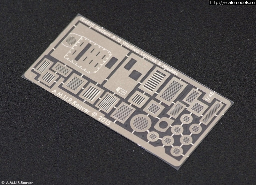 1467970031_DSCF7916.jpg : A.M.U.R.Reaver    A-10A/C 1/48  