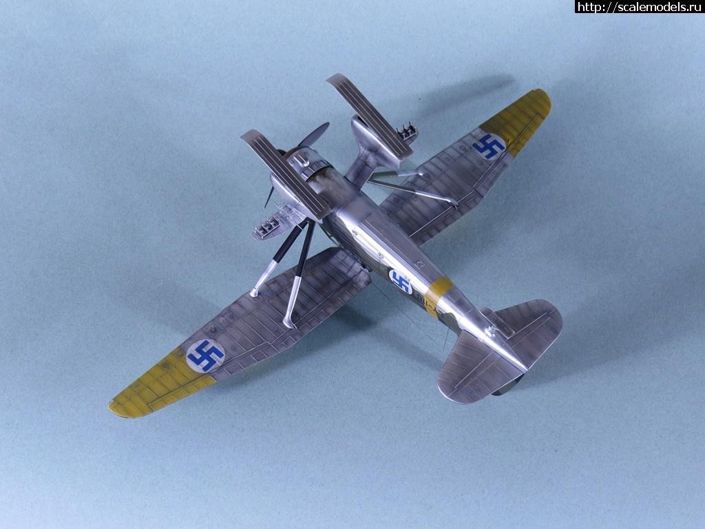 1468869966_wwwIMG_0073.jpg : #1278891/  Lysander Eduard 1/48   