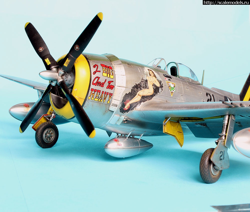 1469646677_IMG_0360.jpg : #1281683/  Tamiya 1/48 P-47N-1-RE Thu...(#10178) -   