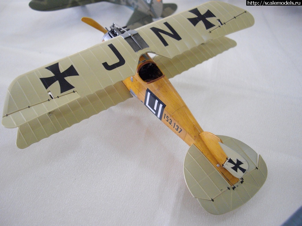 1469985627_IMGP6209.jpg : #1282680/ Albatros D. III Oeffag 153 Eduard 1/48   