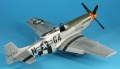 ICM 1/48 P-51D-25 Mustang