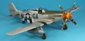 ICM 1/48 P-51D-25 Mustang