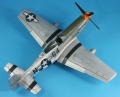 ICM 1/48 P-51D-25 Mustang