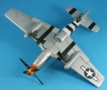 ICM 1/48 P-51D-25 Mustang
