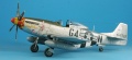 ICM 1/48 P-51D-25 Mustang