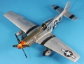 ICM 1/48 P-51D-25 Mustang