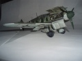ICM 1/48 Bf-109F4-R5