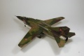 Trumpeter 1/48 -23 -   ,  1, 