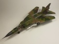 Trumpeter 1/48 -23 -   ,  1, 