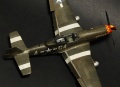 Tamiya 1/48 P-51D-5 Mustang -    