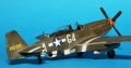 Tamiya 1/48 P-51D-5 Mustang -    