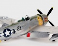  Tamiya 1/48 P-47N-1-RE Thunderbolt - Too Big and Too Heavy