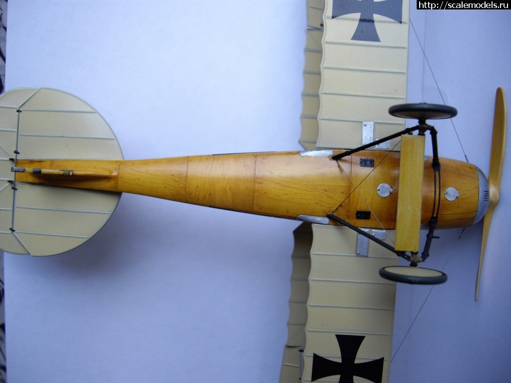 1470221959_IMGP69501.jpg : #1283365/ Albatros D. III Oeffag 153 Eduard 1/48   
