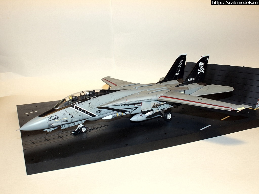 1471475593_IMG_4370-rrrrjosrrrrrjor.jpg : #1286889/ F-14A, Hasegawa 1/48,   VF-84,   