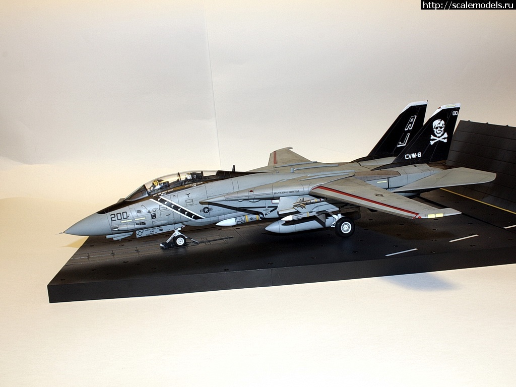 1471475594_IMG_4373-rrrrjosrrrrrjor.jpg : #1286889/ F-14A, Hasegawa 1/48,   VF-84,   