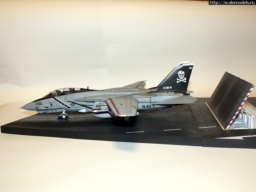 1471475594_IMG_4376-rrrrjosrrrrrjor.jpg : #1286889/ F-14A, Hasegawa 1/48,   VF-84,   