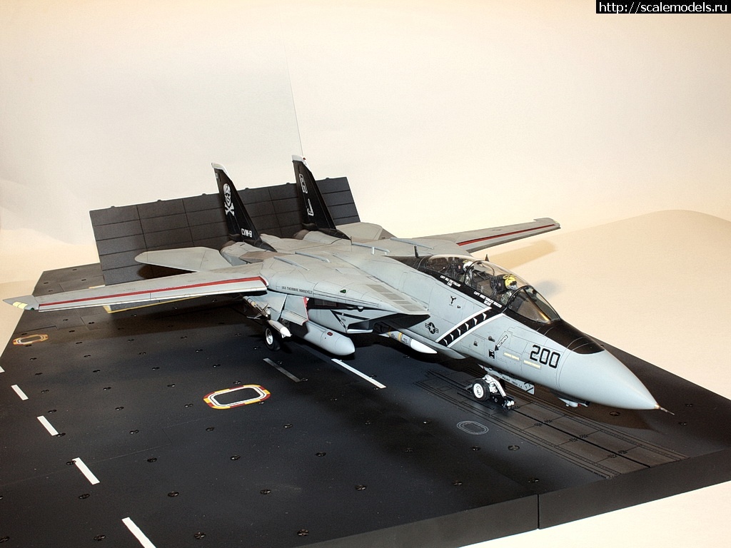 1471475601_IMG_4401-rrrrjosrrrrrjor.jpg : #1286889/ F-14A, Hasegawa 1/48,   VF-84,   