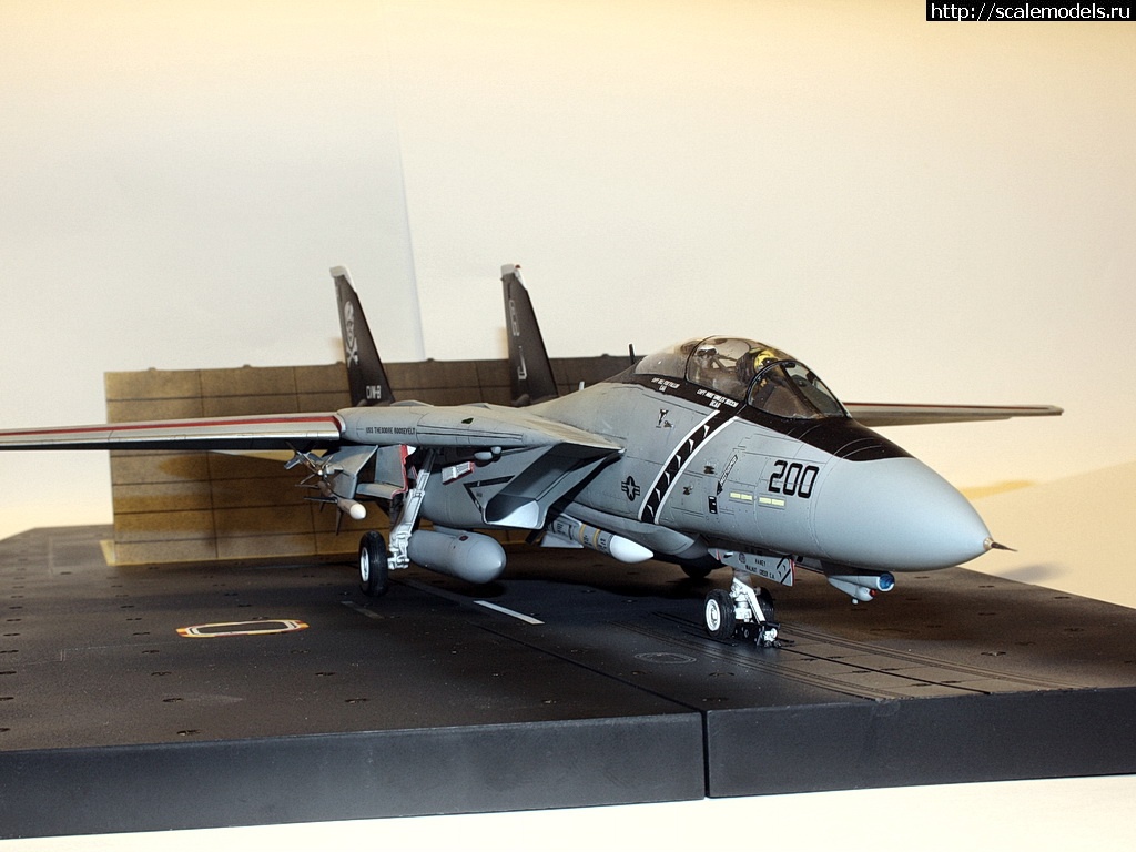 1471475602_IMG_4403-rrrrjosrrrrrjor.jpg : #1286889/ F-14A, Hasegawa 1/48,   VF-84,   