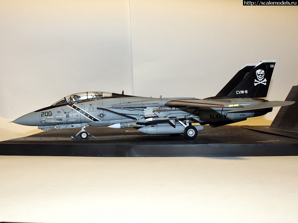 1471475605_IMG_4417-rrrrjosrrrrrjor.jpg : #1286889/ F-14A, Hasegawa 1/48,   VF-84,   