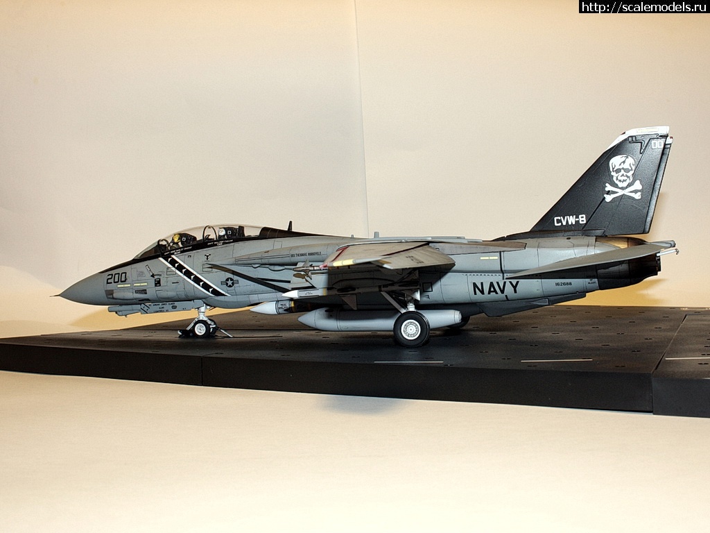 1471475605_IMG_4419-rrrrjosrrrrrjor.jpg : #1286889/ F-14A, Hasegawa 1/48,   VF-84,   