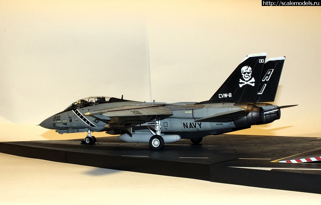 1471475608_IMG_4427-rrrrjosrrrrrjor.jpg : #1286889/ F-14A, Hasegawa 1/48,   VF-84,   