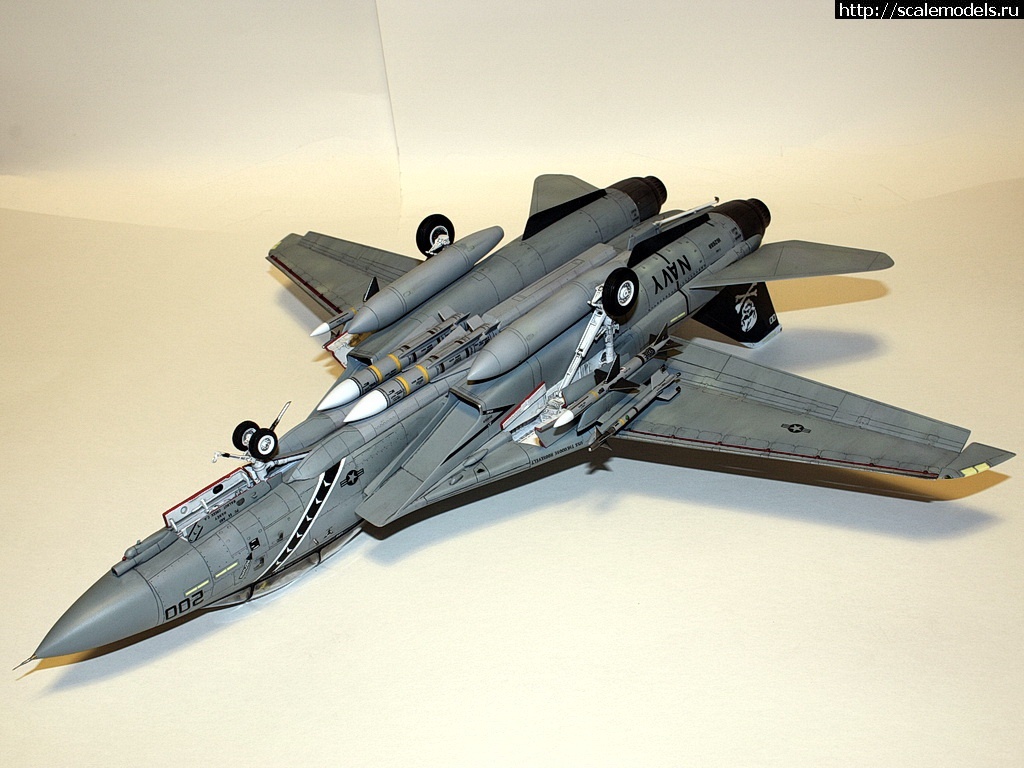 1471475612_IMG_4440-rrrrjosrrrrrjor.jpg : #1286889/ F-14A, Hasegawa 1/48,   VF-84,   