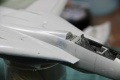 Hasegawa 1/72 F-14A Tomcat -   