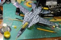 Hasegawa 1/72 F-14A Tomcat -   