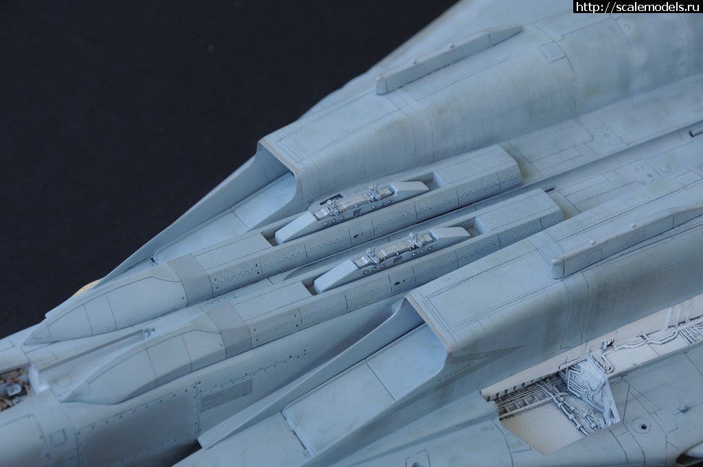 1473049172_DSC_2027.jpg : F-14D HASEGAWA 1/48 / GRIM REAPERS AD160 - .  