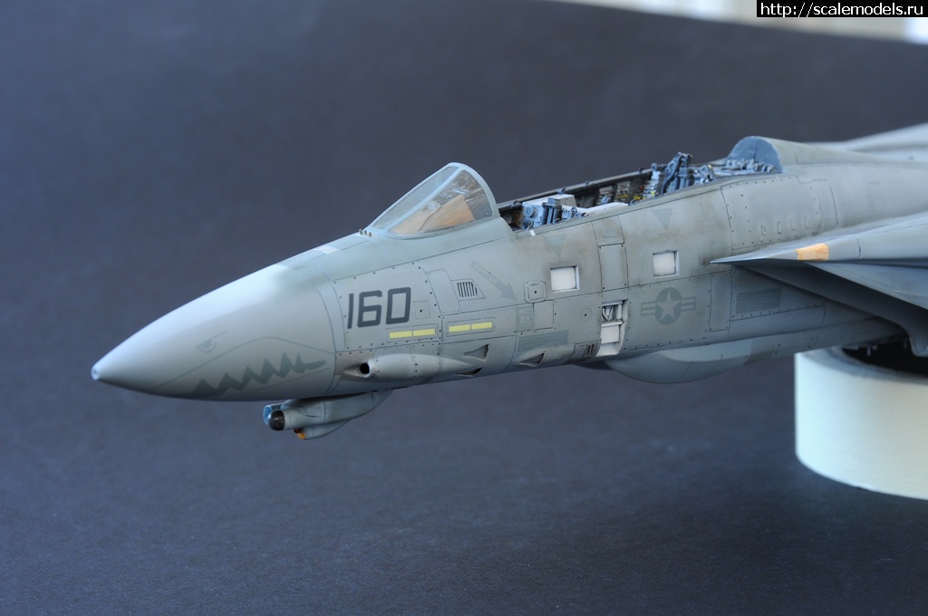 1473049180_DSC_2043.jpg : F-14D HASEGAWA 1/48 / GRIM REAPERS AD160 - .  