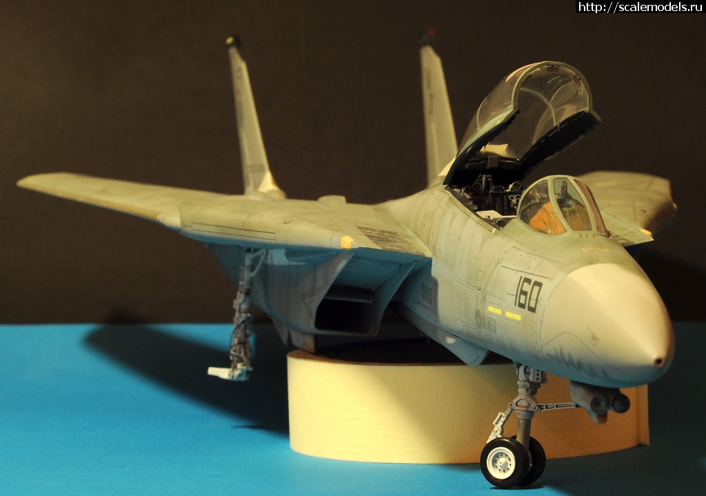 1473049826_3-1.jpg : F-14D HASEGAWA 1/48 / GRIM REAPERS AD160 - .  