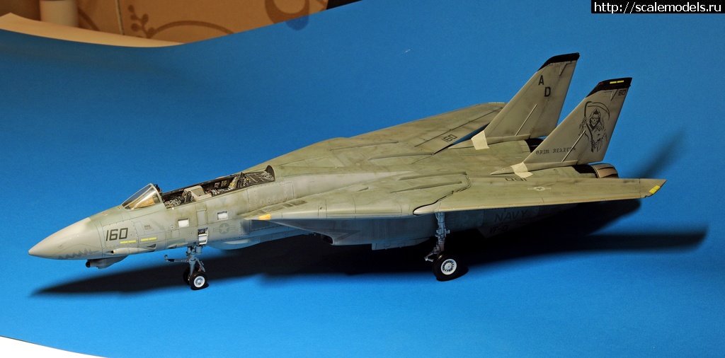 1473049843_DSC_2006.jpg : F-14D HASEGAWA 1/48 / GRIM REAPERS AD160 - .  