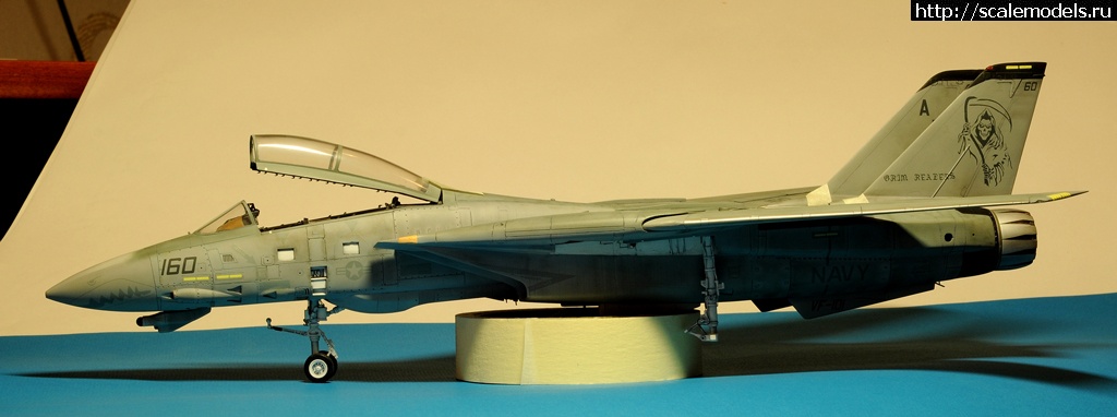 1473050097_DSC_2022.jpg : F-14D HASEGAWA 1/48 / GRIM REAPERS AD160 - .  