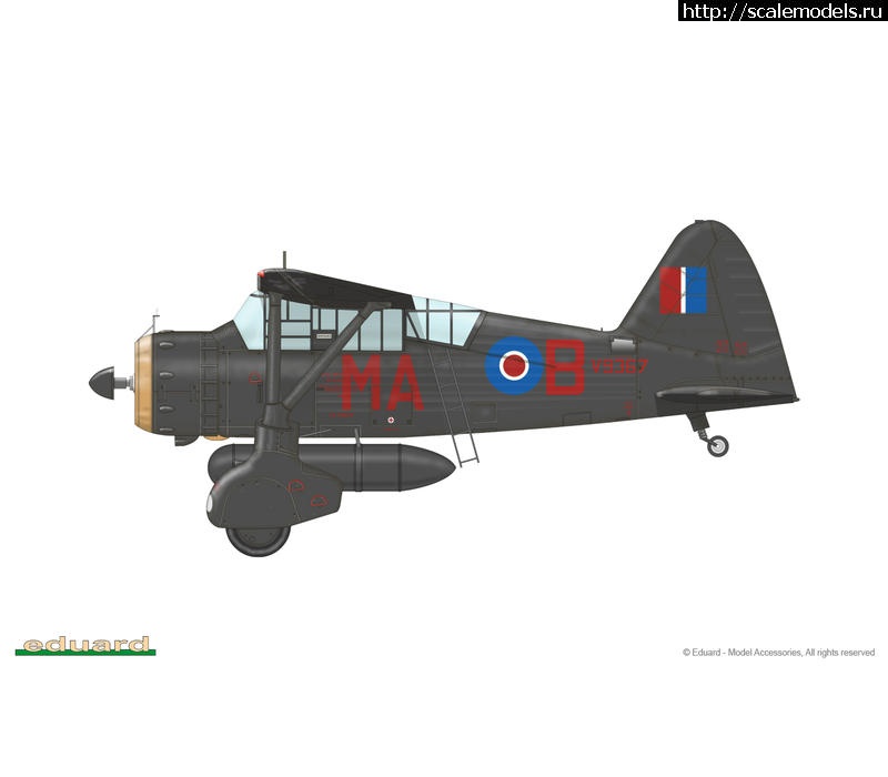 1475407709_8290_05.jpg : #1298304/  1:48 Westland Lysander Mk.III  Gavia - Eduard  